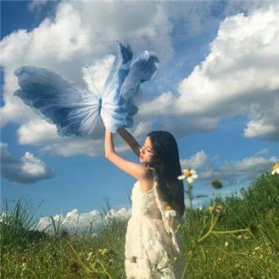 楚留香新传之兰花传奇